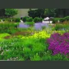 Plan It Green Landscape Architecture