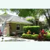Spot Free Roofs & Pressure Cleaning