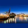 Rainier Overseas Movers