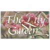 The Lily Garden