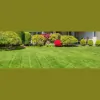 T & P Lawn & Landscape