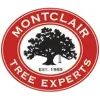 Montclair Tree Experts