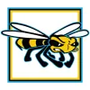 Bee Tree Spas and Pools