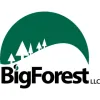 Big Forest