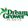 Dream Grower Plants