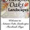 Autumn Oaks