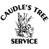 Caudle's Tree Service