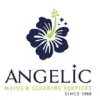 Angelic Commercial Cleaning