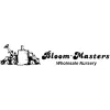 Bloom-Masters
