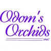 Odoms Orchids