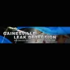 Gainesville Leak Detection