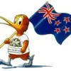 Kiwi Chimney