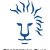Protection Plus Security Services