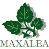 Maxalea