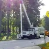 Cleveland Tree Service