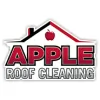 Apple Roof Cleaning Tampa Florida