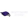 Nighthawk Alarm