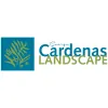 George Cardenas Landscape
