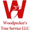 Woodpeckers Tree Service