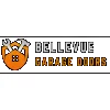 Bellevue Garage Door Repair