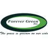 Forever Green