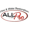 All Pro Restoration