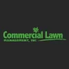 Commercial Lawn Management