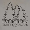 Evergreen Tree & Landscape
