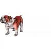 Bulldog Marine