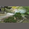 Raffiani's Automatic Sprinkler