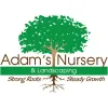 Adam's Nursery