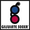 Gilsulate International
