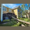 Bay City Tree Service