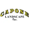 Capone Landscape