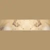 Bed Bug Free Exterminators