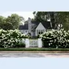 Homestead Lawn & Landscape