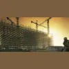 Walworth & Sons Pest Control Services