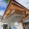 Evolution Gutters