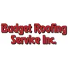 Budget Roofing Service