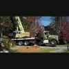 Danilo Tree Service & Landscaping