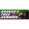 Brongo's Tree Service