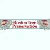 Boston Tree Preservation
