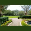 Collins Professional Landscaping of Morganton