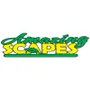 Amazing Scapes & More