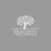 Broad Ripple Tree Service