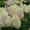 4 Seasons Garden Center
