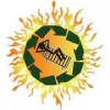 Custom Solar and Leisure