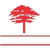 LashCo Tree Service