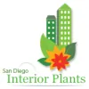 San Diego Interior Plants