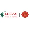 Lucas Tree Experts